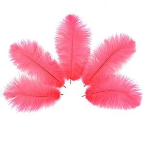 Coral Pink Feathers 12-14 inches | 10 pieces Wedding Decor